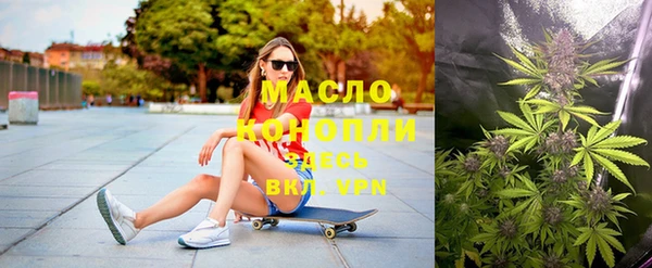 ешки Новодвинск