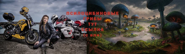 амф Новокубанск